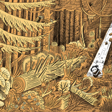ILLUSTRATIONS 02